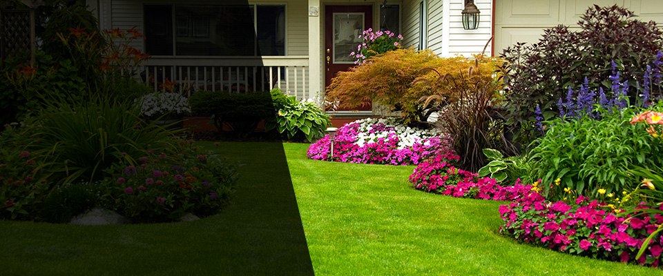 Pebble Beach Landscapers