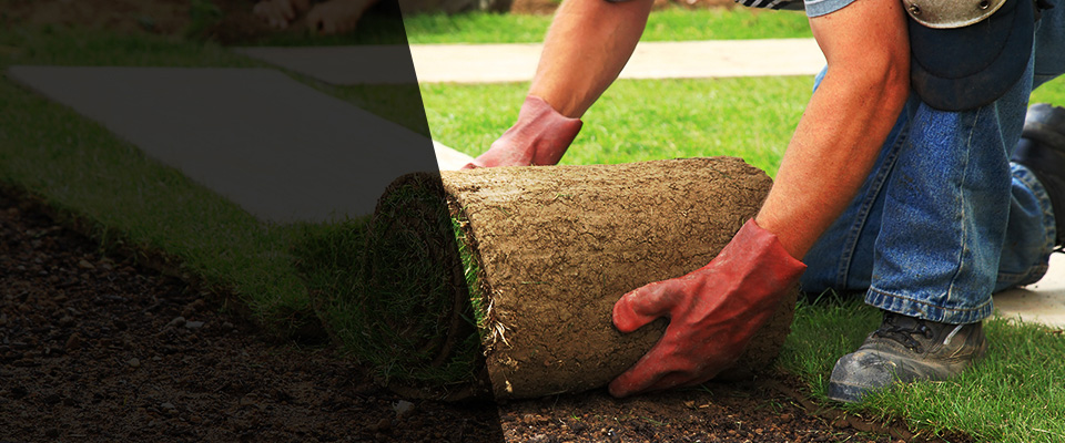 Pebble Beach Landscapers